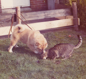 Kwai met Sascha