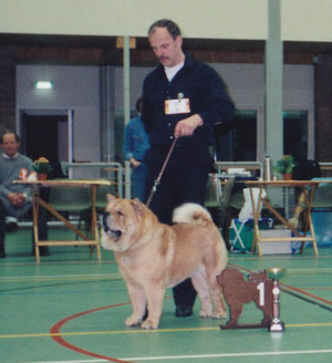 Anhwei-Dschingis Khan Huade Hong