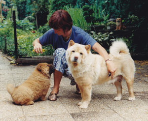 Anhwei Orchan Hong en Skimo