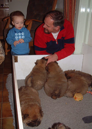 Ruben,Menno en pups